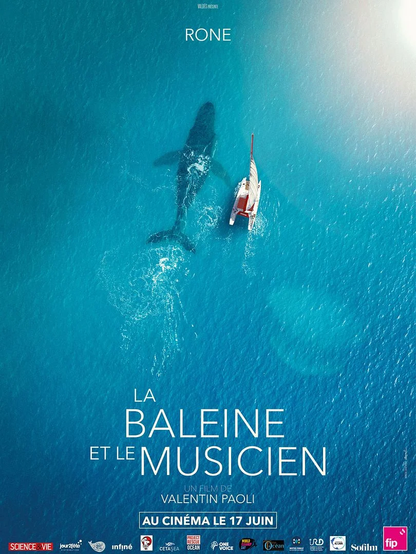 La baleine et le musicien